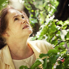 Yvonna Gaillyová
